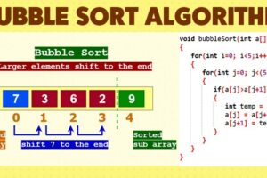 Bubble Sort Algorithms